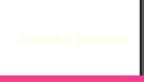 Amoeba Sciences